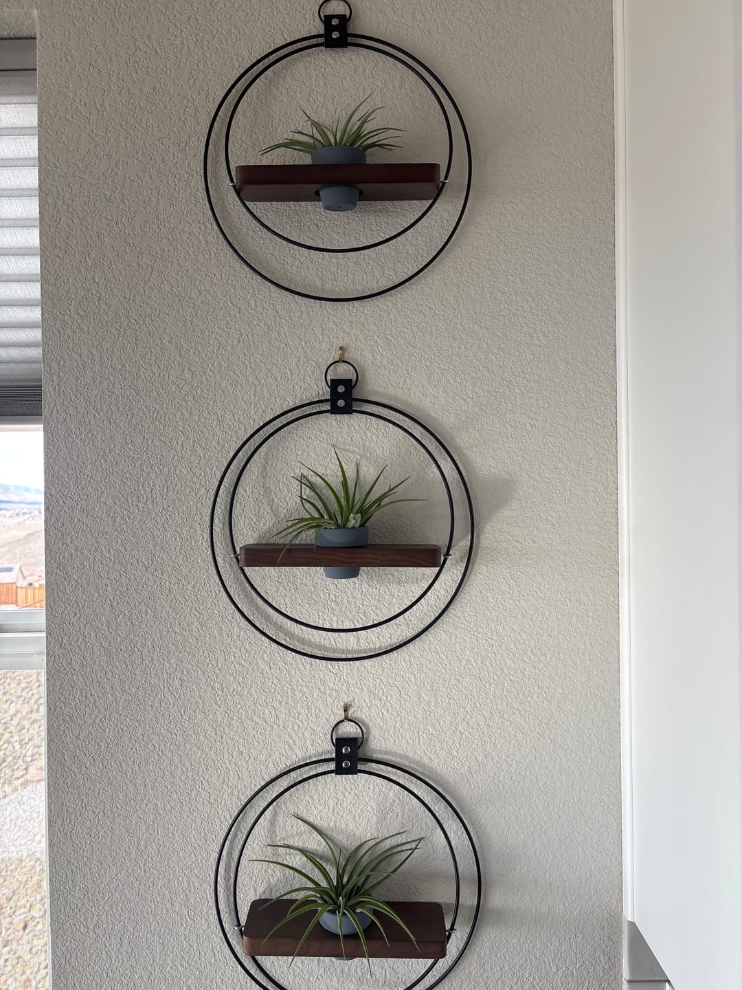 Customer photo review of Air Plant Shelf + Pot Trio