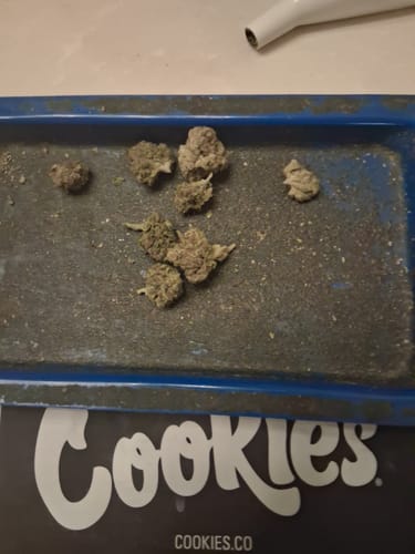 Customer photo review of AVENTUS8 THC-A FLOWER LEMON CHERRY GELATO 28G -  1 ounce - Hybrid
