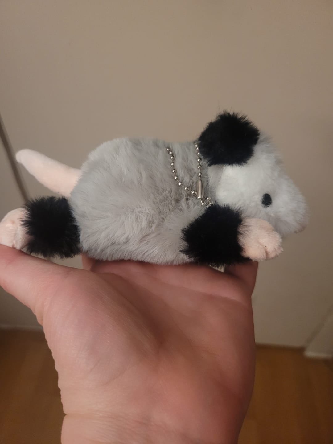 Customer photo review of Peter The Opossum