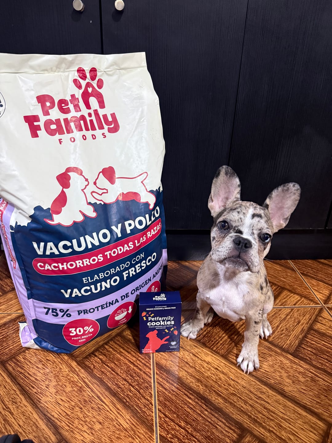 Customer photo review of PetFamily Foods Cachorros