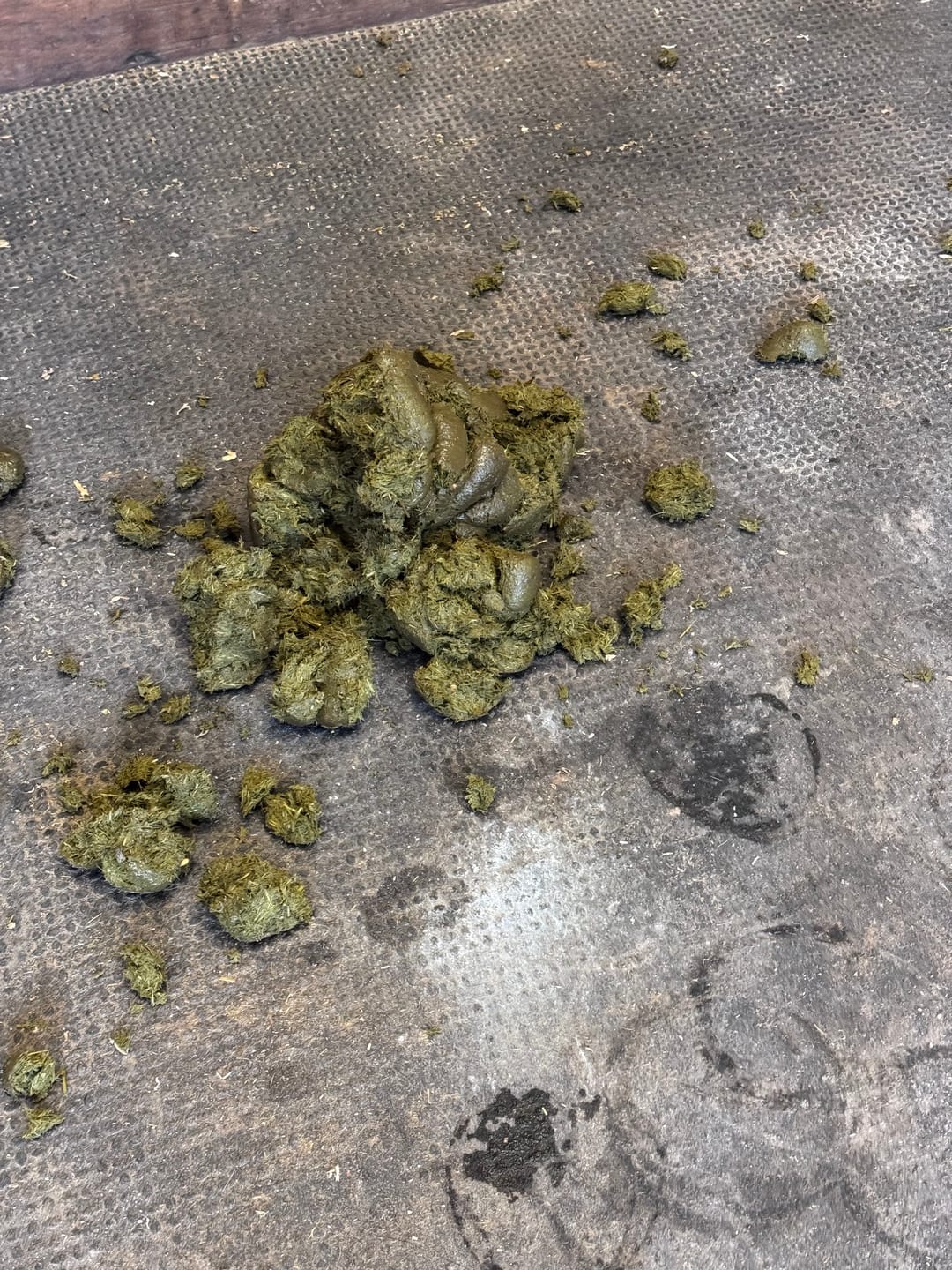 Customer photo review of Equine Probiotic Pellets