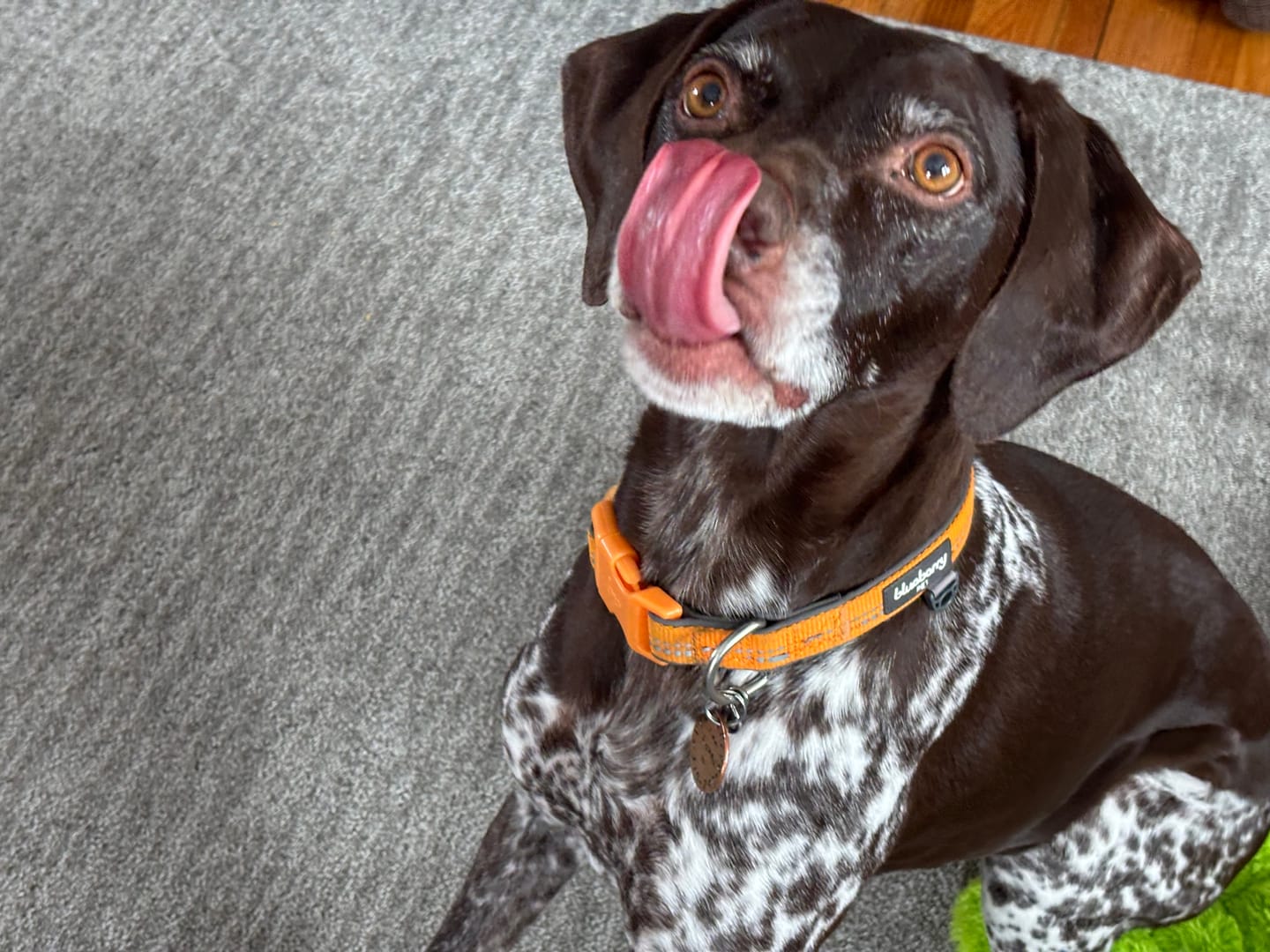 Customer photo review of Beef Jerky Treats for Dogs
