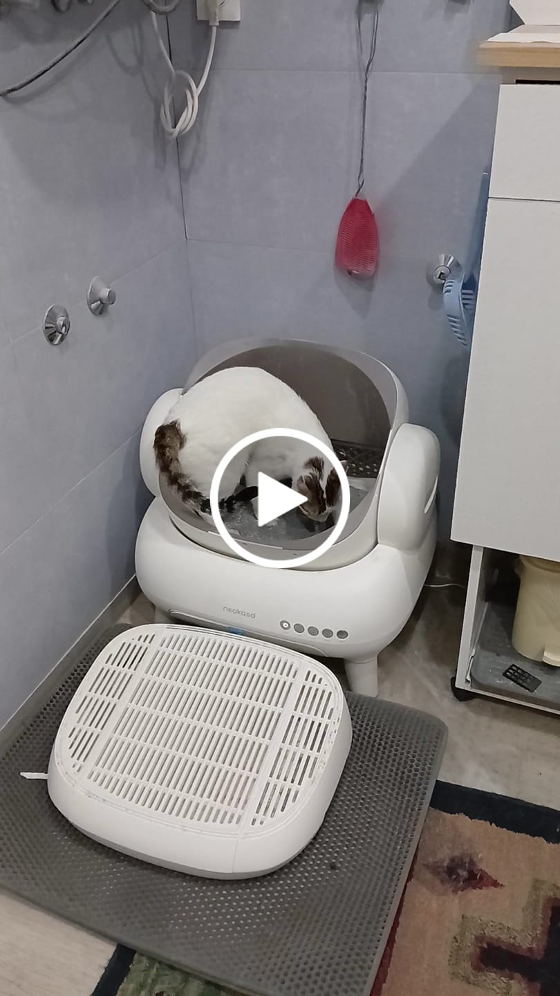 Customer video review of Neakasa M1 Lite Plus Open-Top Self-Cleaning Cat Litter Box