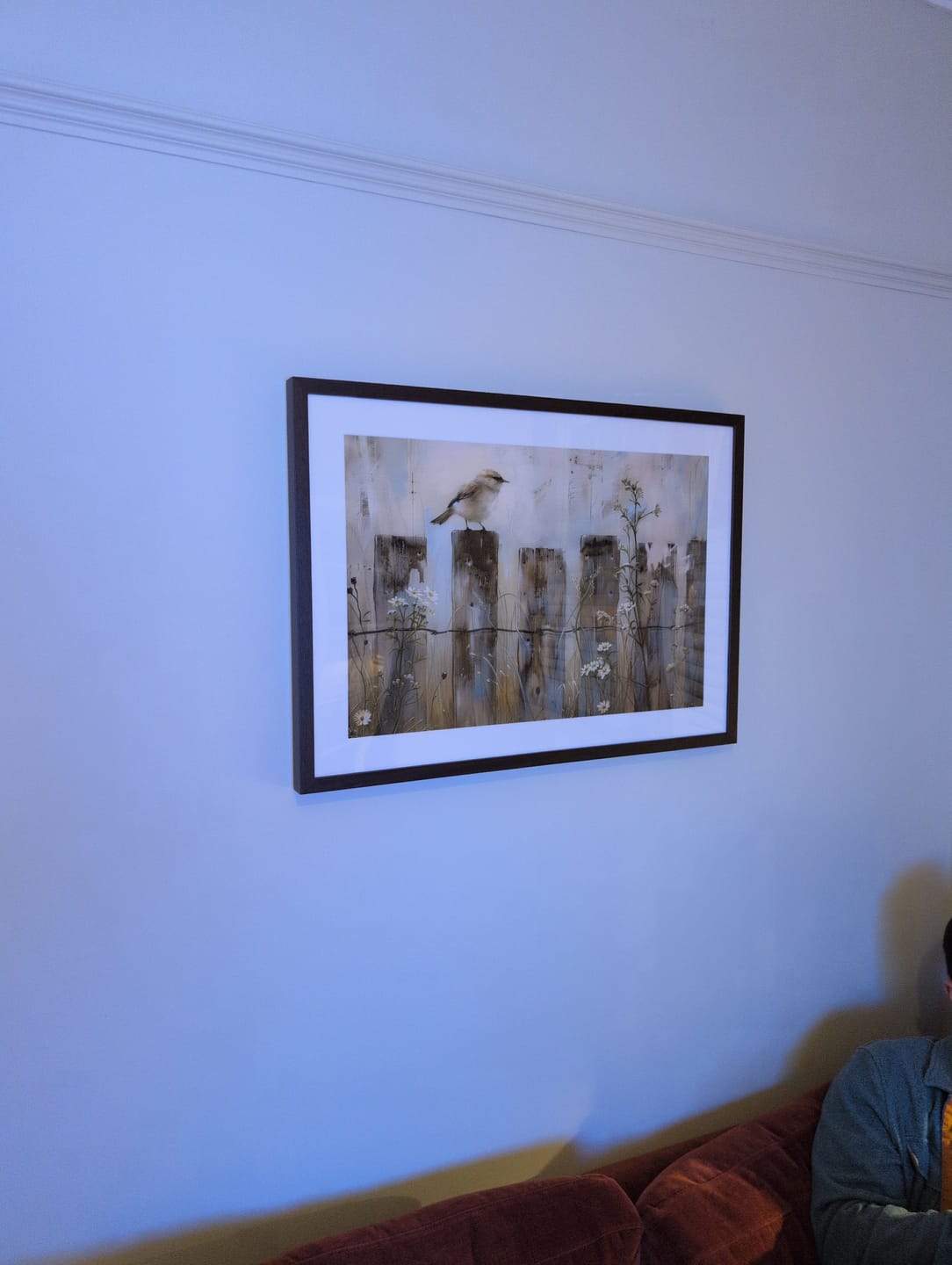 Customer photo review of Country Bird Framed Art Print