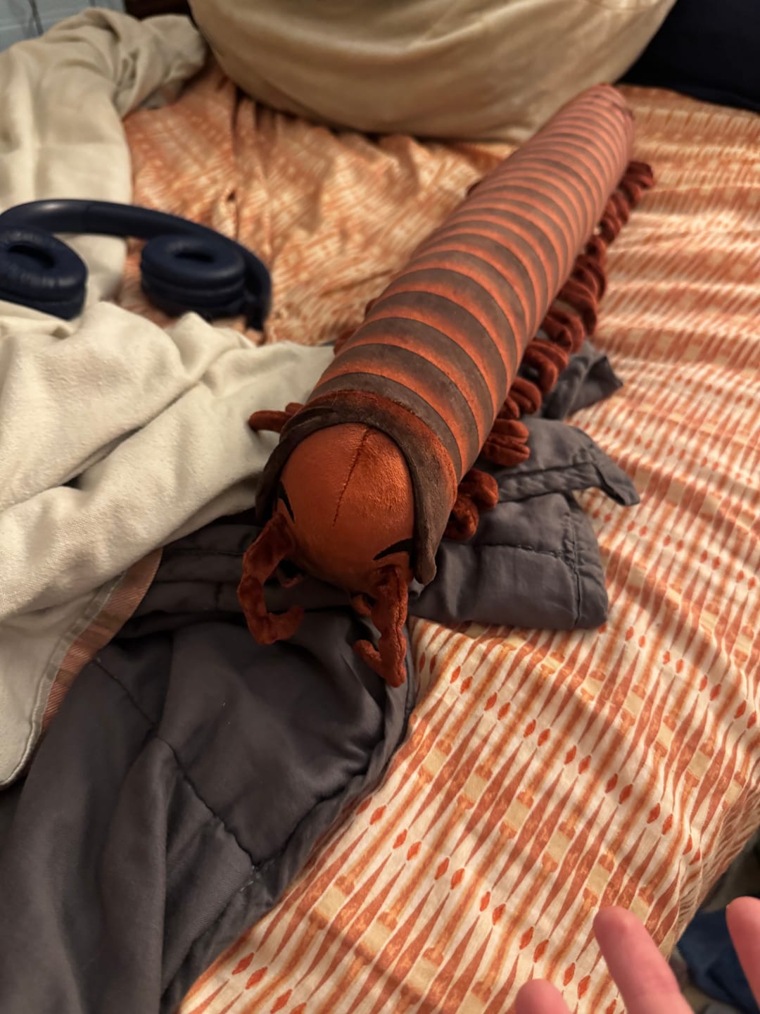Customer photo review of Specimen 1 - Giant African Millipede Plush