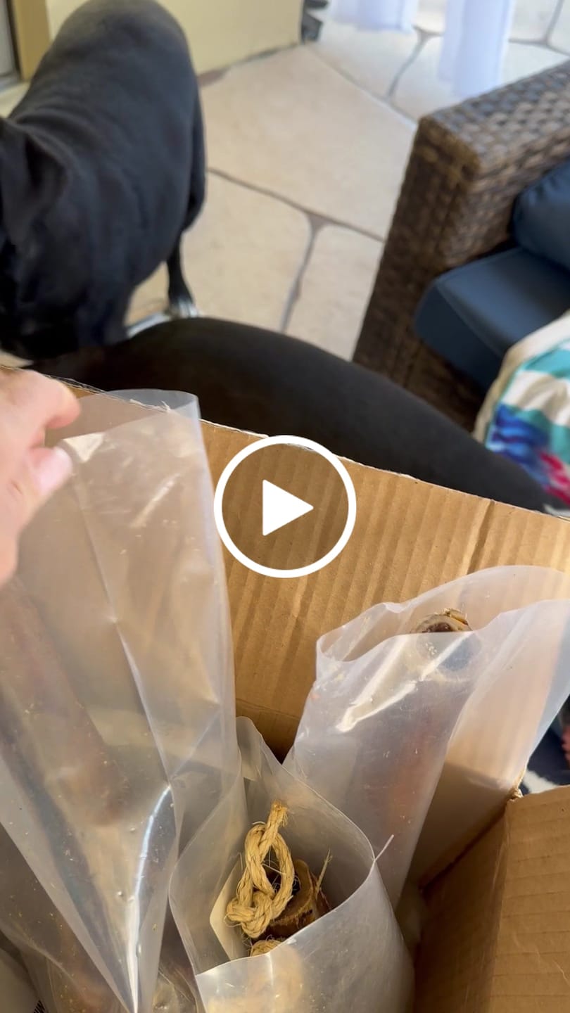Customer video review of Ostrich Chunky Bones (5" x 2" - 2 Pack): The Long-Lasting, Flavor-Packed Bones for Medium to Large Dogs