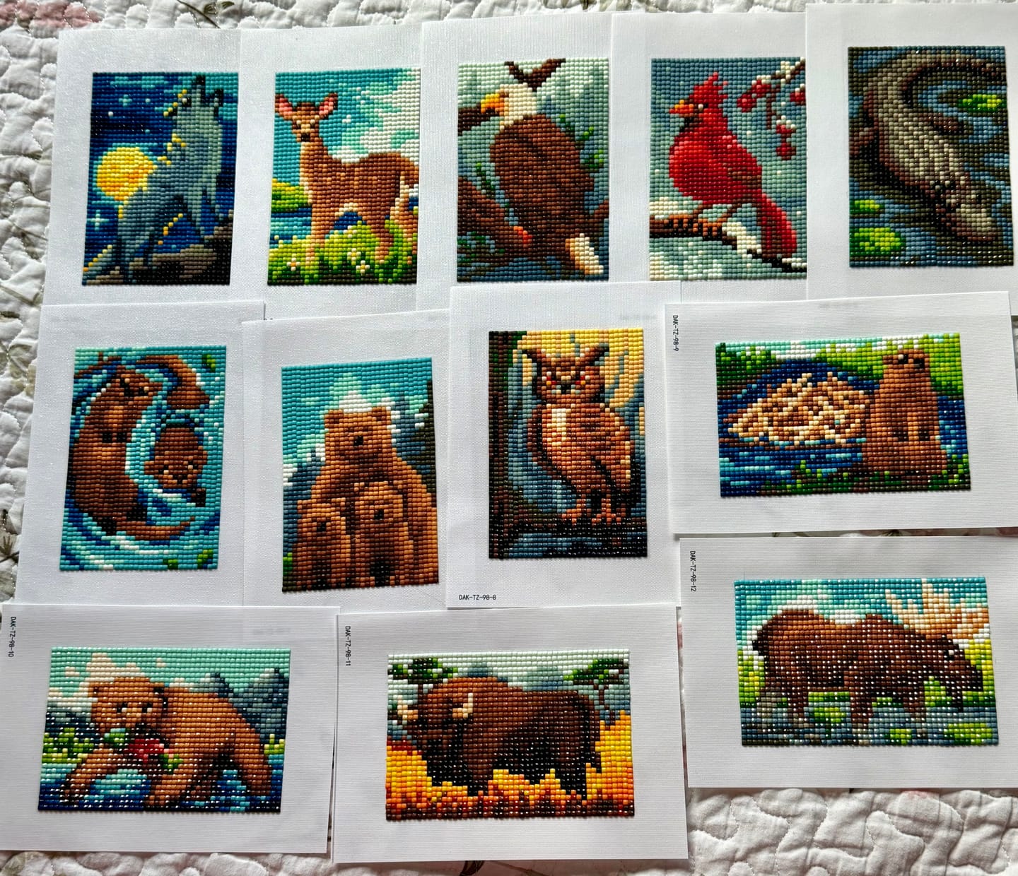 Customer photo review of North American Wildlife Set