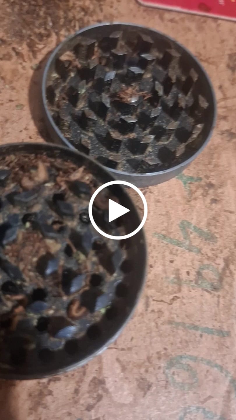 Customer video review of Afghan Hasch 9H-HHC