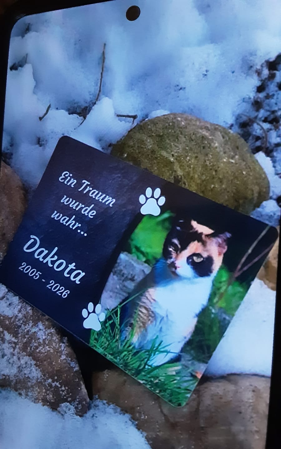 Customer photo review of Katzen Gedenktafel mit Foto & Spruch (UV- & Wetterfest)