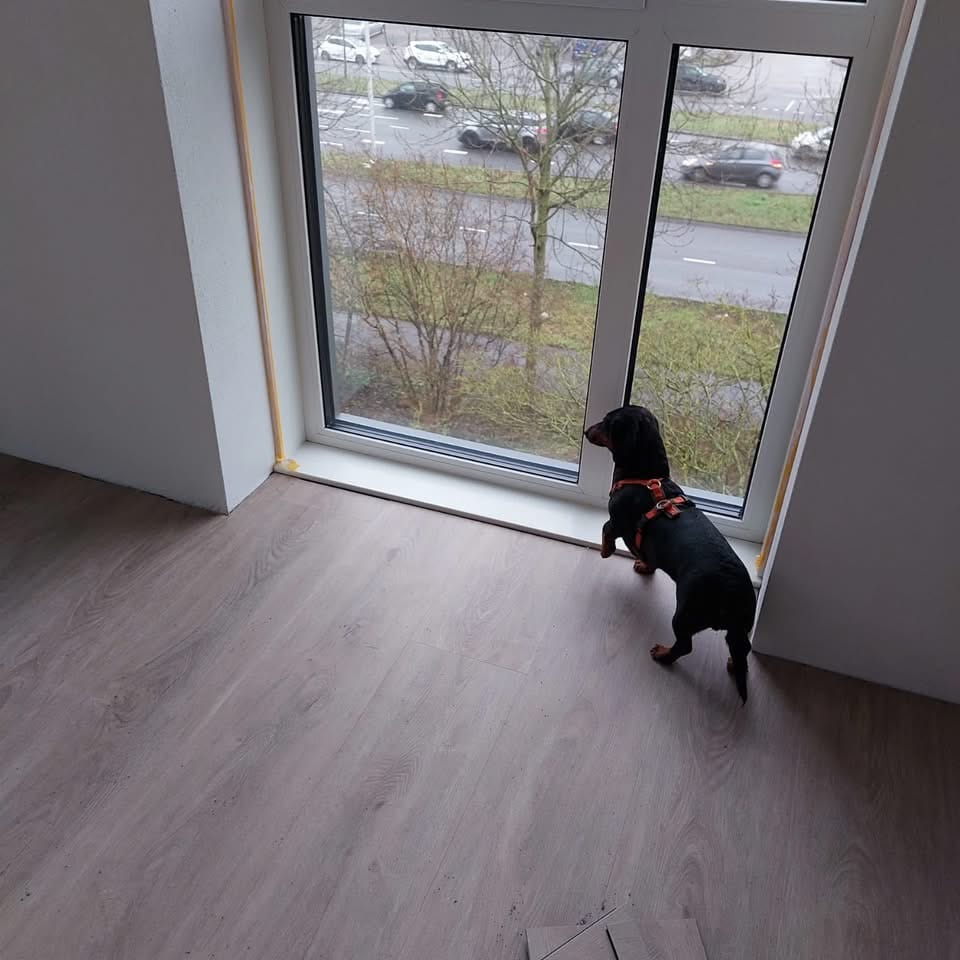 Customer photo review of Floorlife Plakplint Bijpassend Gefolied 5x24x2400mm