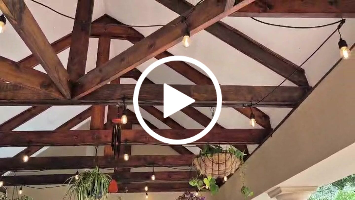 Customer video review of Plug-In Festoon Bulb String Lights