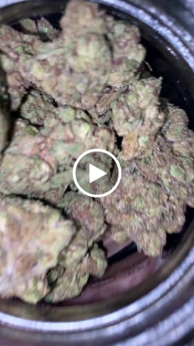 Customer video review of Gary Payton - Light Dep THCA