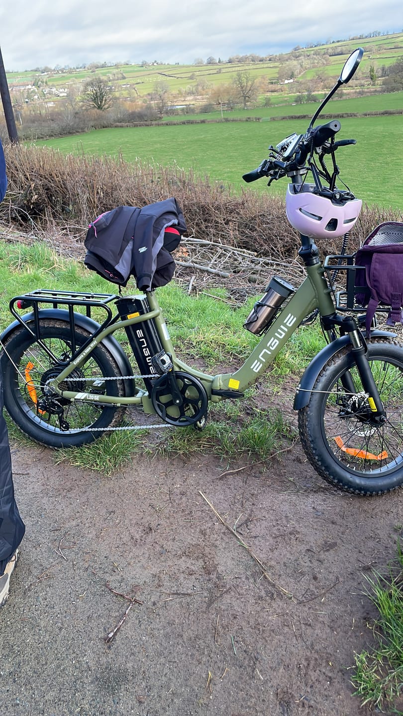Customer photo review of Engwe L20 SE 250W 20" Foldable Electric Trekking Bike 561Wh Step-through E-bike