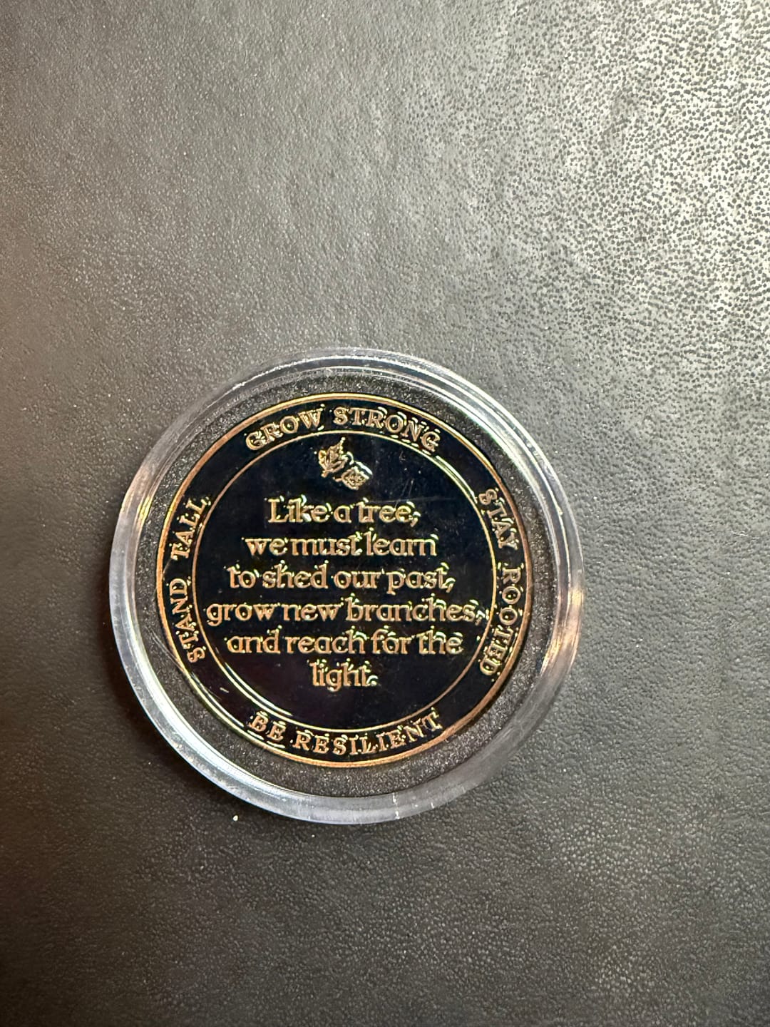Customer photo review of Tree of Life Affirmation Sobriety Coin Gift Set - Antique Gold