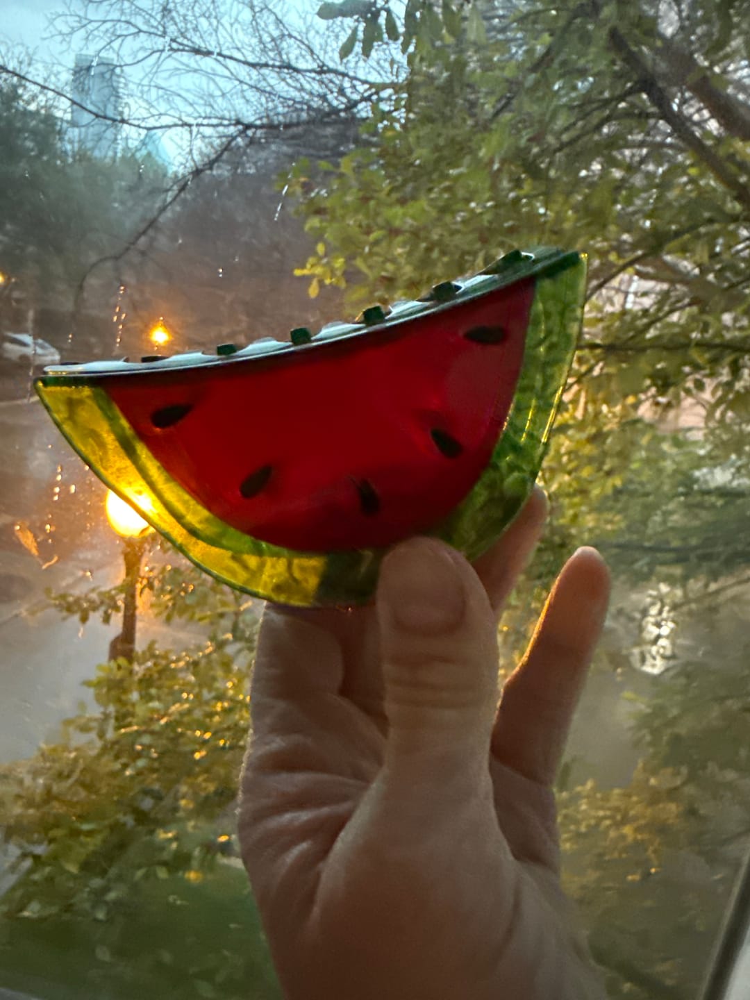 Customer photo review of Large Watermelon Hair Claw Clip
