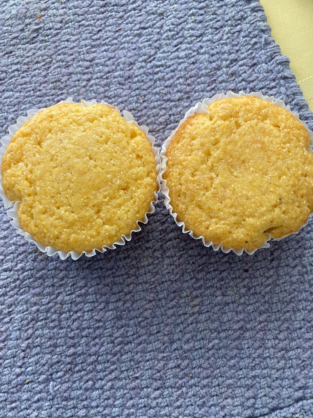 Customer photo review of Cousin T's Gourmet Honey Cornbread Mix