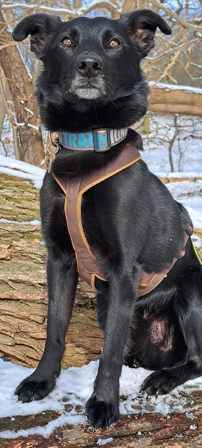 Customer photo review of Wurmtest Basic Hund