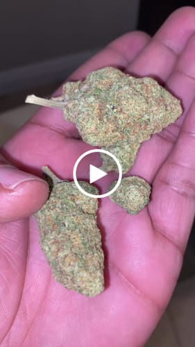 Customer video review of Strawberry Poptarts- Greenhouse THCA (Full Size)