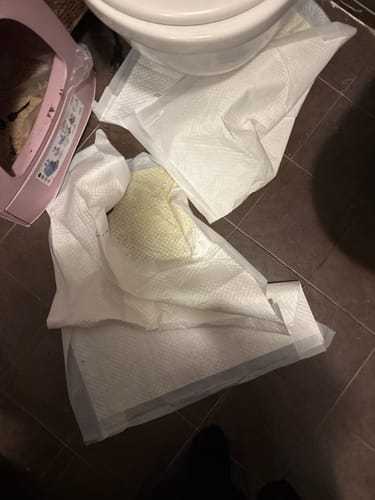 Customer photo review of Diffusore Calmante per Gatti