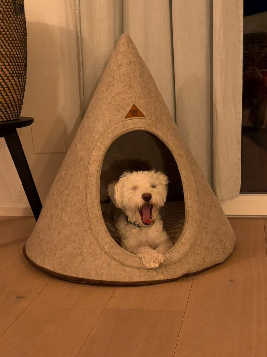 Customer photo review of Tonto - Luxury Dog Tipi