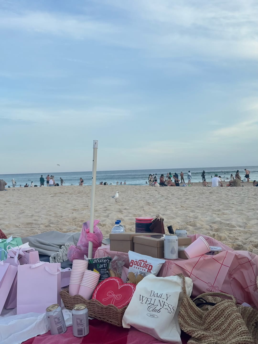 Customer photo review of Galentines Beach Picnic