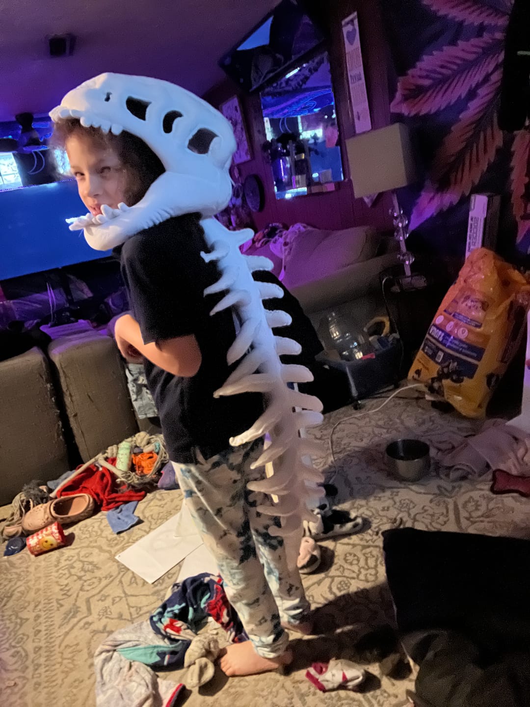 Customer photo review of The Godzilla Snug™