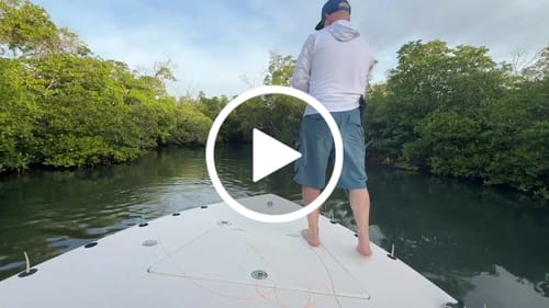 Customer video review of Iconic Fly Reel, 9 Plus