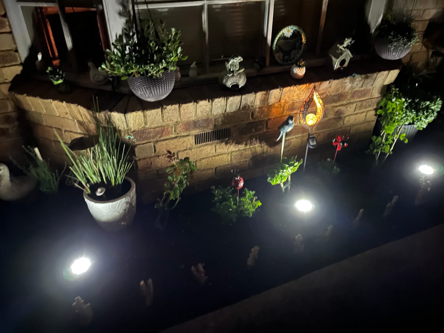 Customer photo review of GardenBrite™ Solar Ground Light Pack