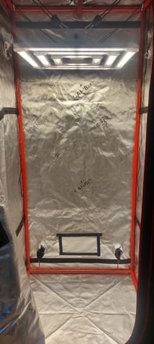 Customer photo review of FGI Square 3 320W Full Spectrum LED Grow Light. Includes Far Red Spectrum, Manual Dimming.