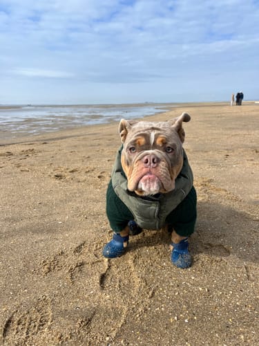 Customer photo review of WagWellies® by wagwear