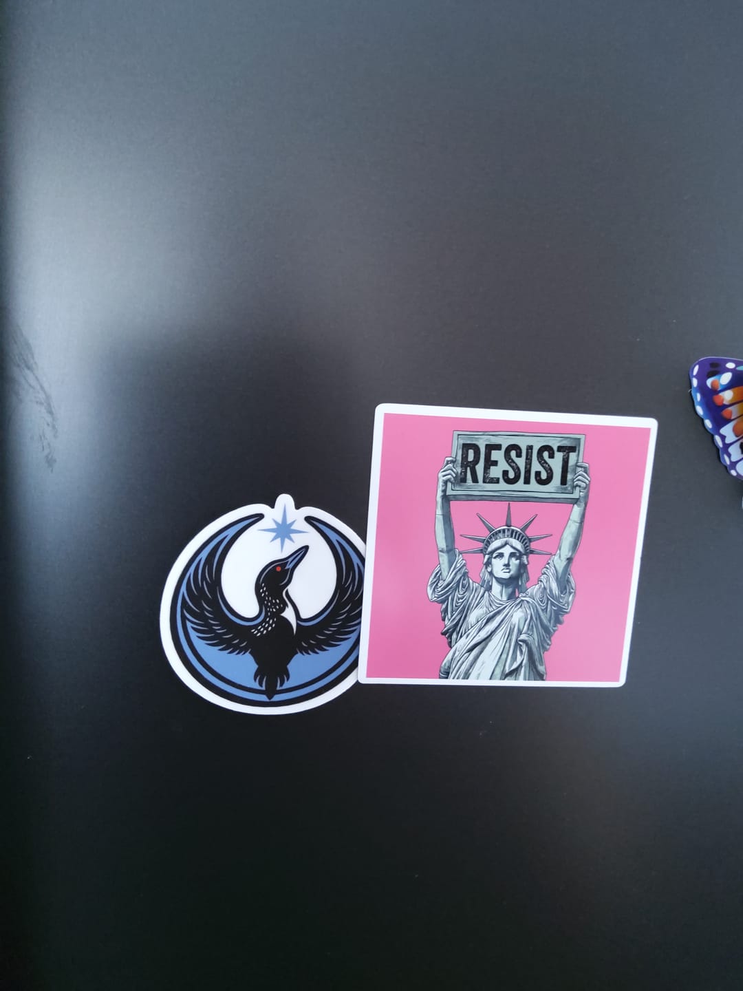 Customer photo review of Rebel Loon Sticker