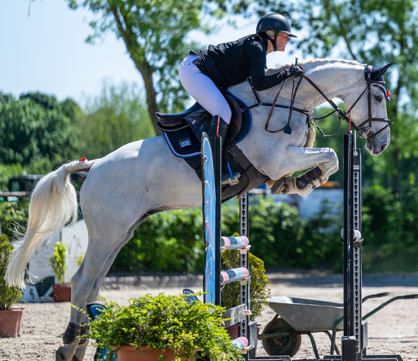 Customer photo review of Equiline Schabracke Octagon - Konfigurator