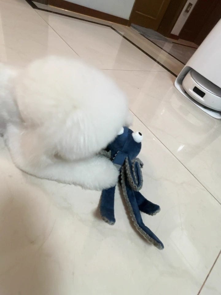 Customer photo review of Ocean Snuffle & Squeaky Plush Enrichment Toy – Available as Single or Set