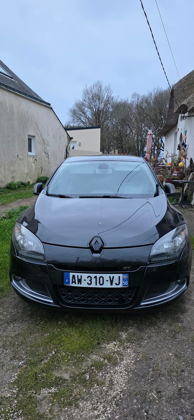 Customer photo review of Logo Renault Noir