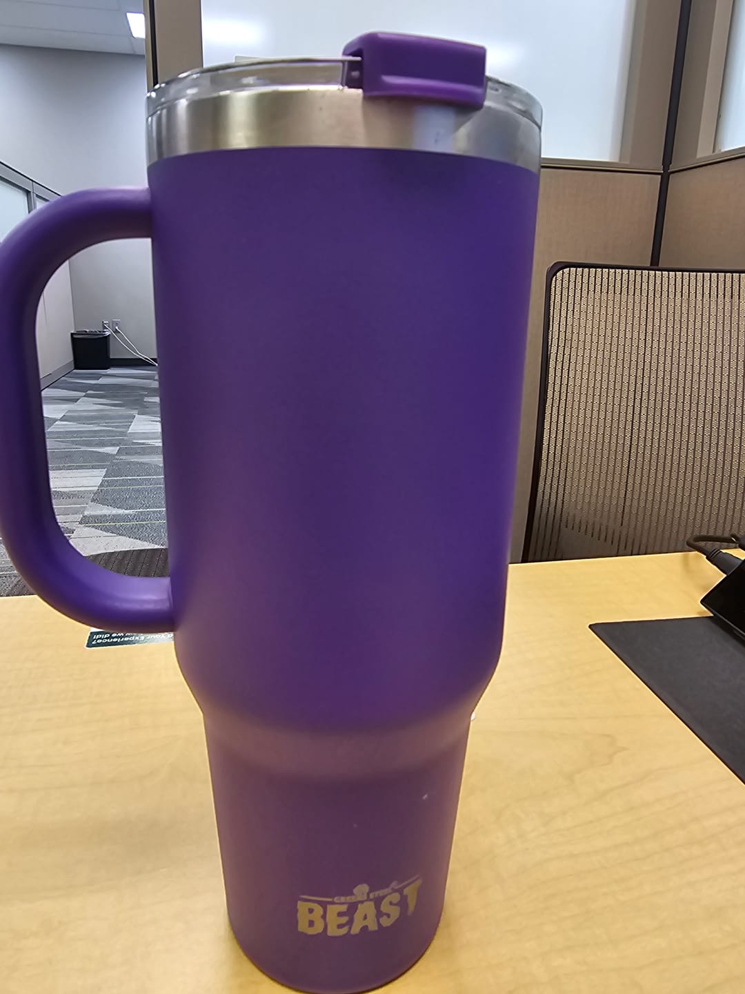 Customer photo review of BEAST Stainless Steel Double Wall Insulated