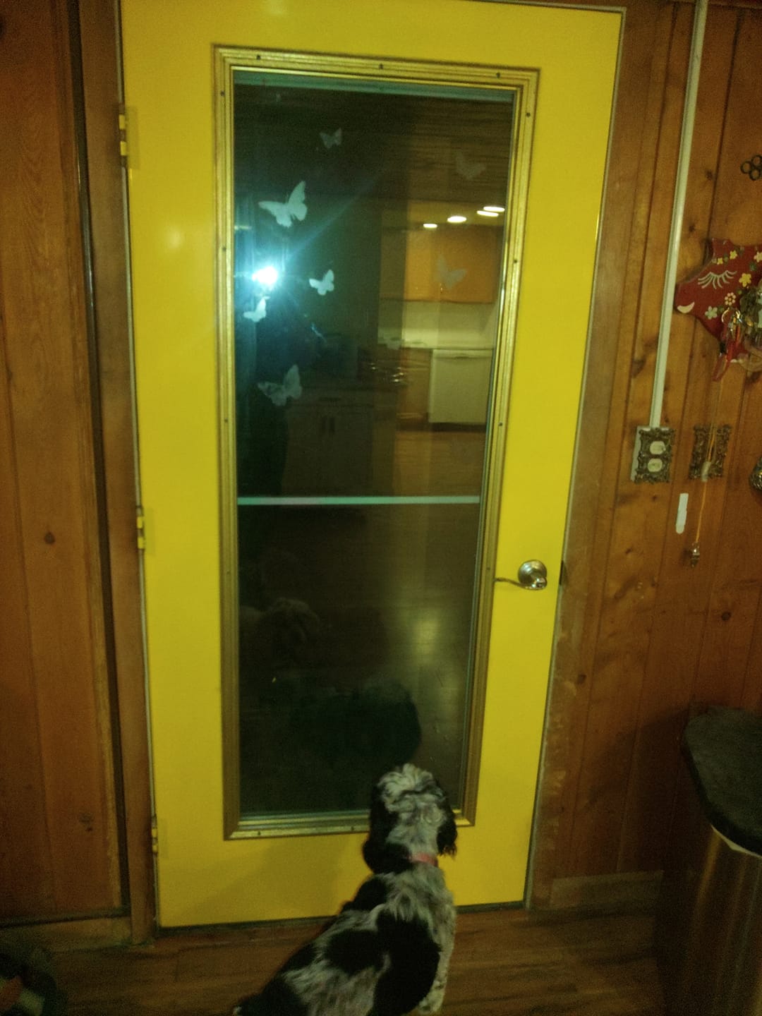 Customer photo review of Full Lite Frame Kit