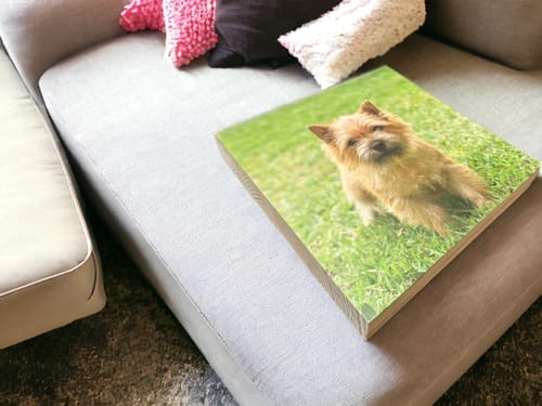 Customer photo review of Pine Square