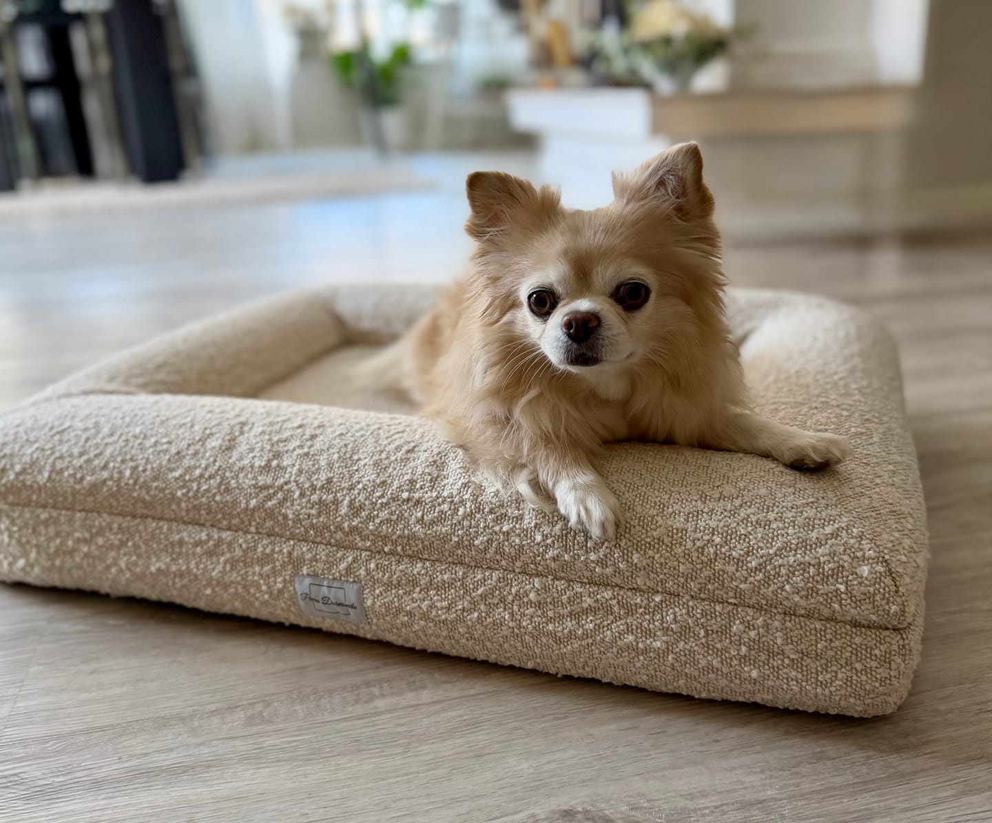 Customer photo review of Perro Durmiendo bouclé sofa bed - Cream