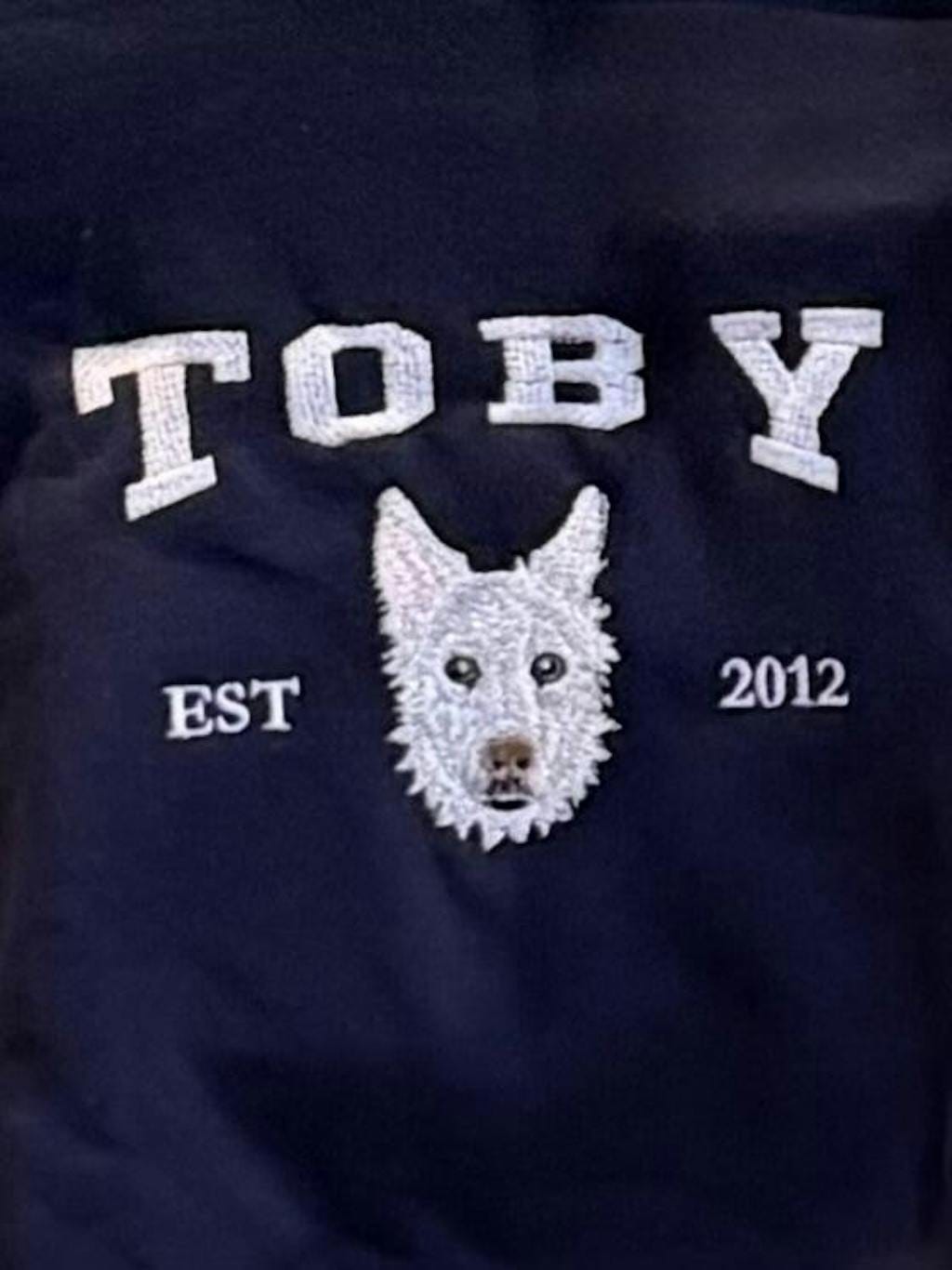 Customer photo review of Mystichot Custom Embroidered Pet Sweatshirt