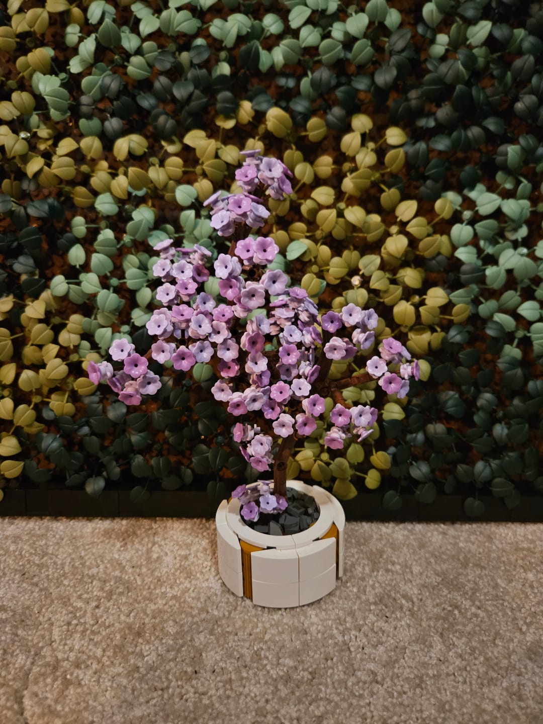 Customer photo review of Builder's Bonsai (Lavender)