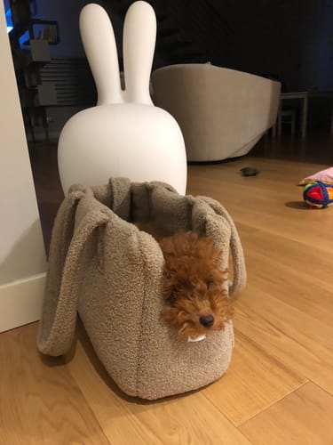 Customer photo review of Borsa Bouclé Teddy Noce