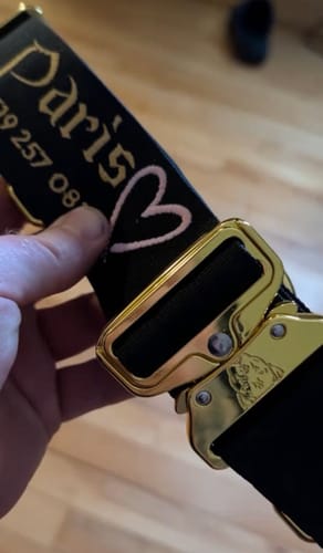 Customer photo review of 2" Luxe Martingale Dog Collar - Gold Noir