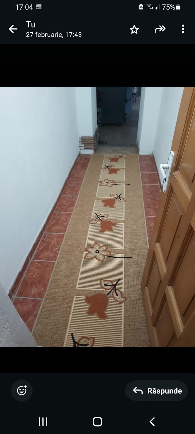 Customer photo review of Traversa antiderapanta imprimata Tulip, subtire, latime 80 cm (surfilata)