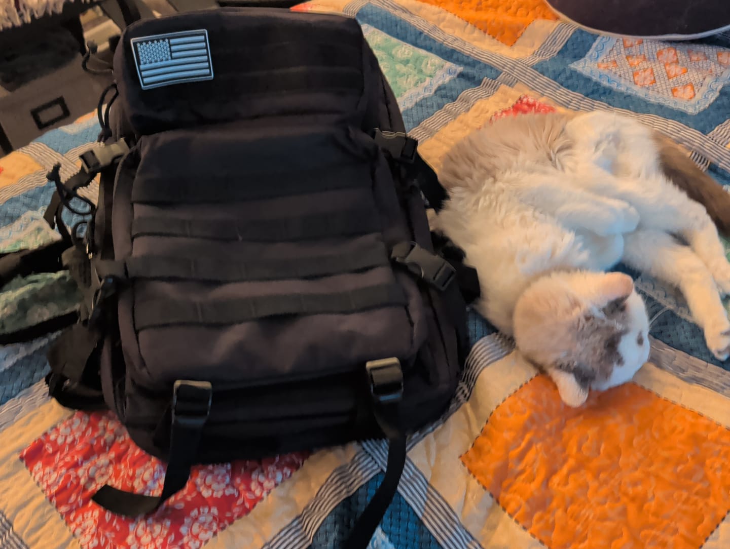 Customer photo review of Tactix H.T. Tactical Backpack