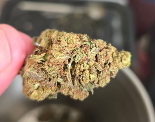 Customer photo review of Ice Cream Cake (smalls)