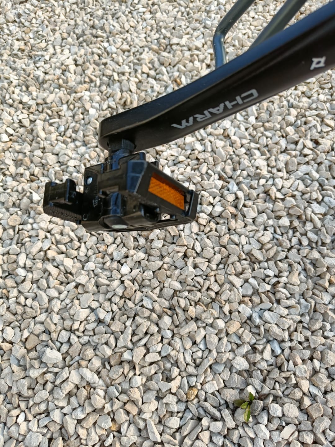 Customer photo review of Kit Folding Pedals WELLGO F265DU