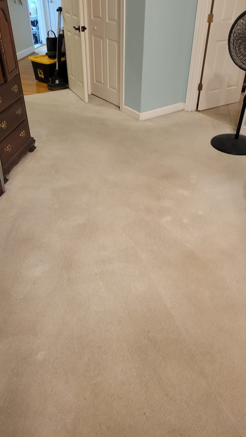 Customer photo review of FiberPlus Carpet Cleaning Pads 19 inch (case of 5) Commercial Carpet Cleaning Supplies (NOT for 19" Cimex)