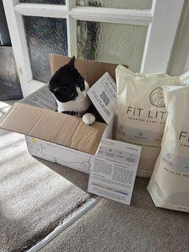 Customer photo review of 1 Month Supply – 2 Cat