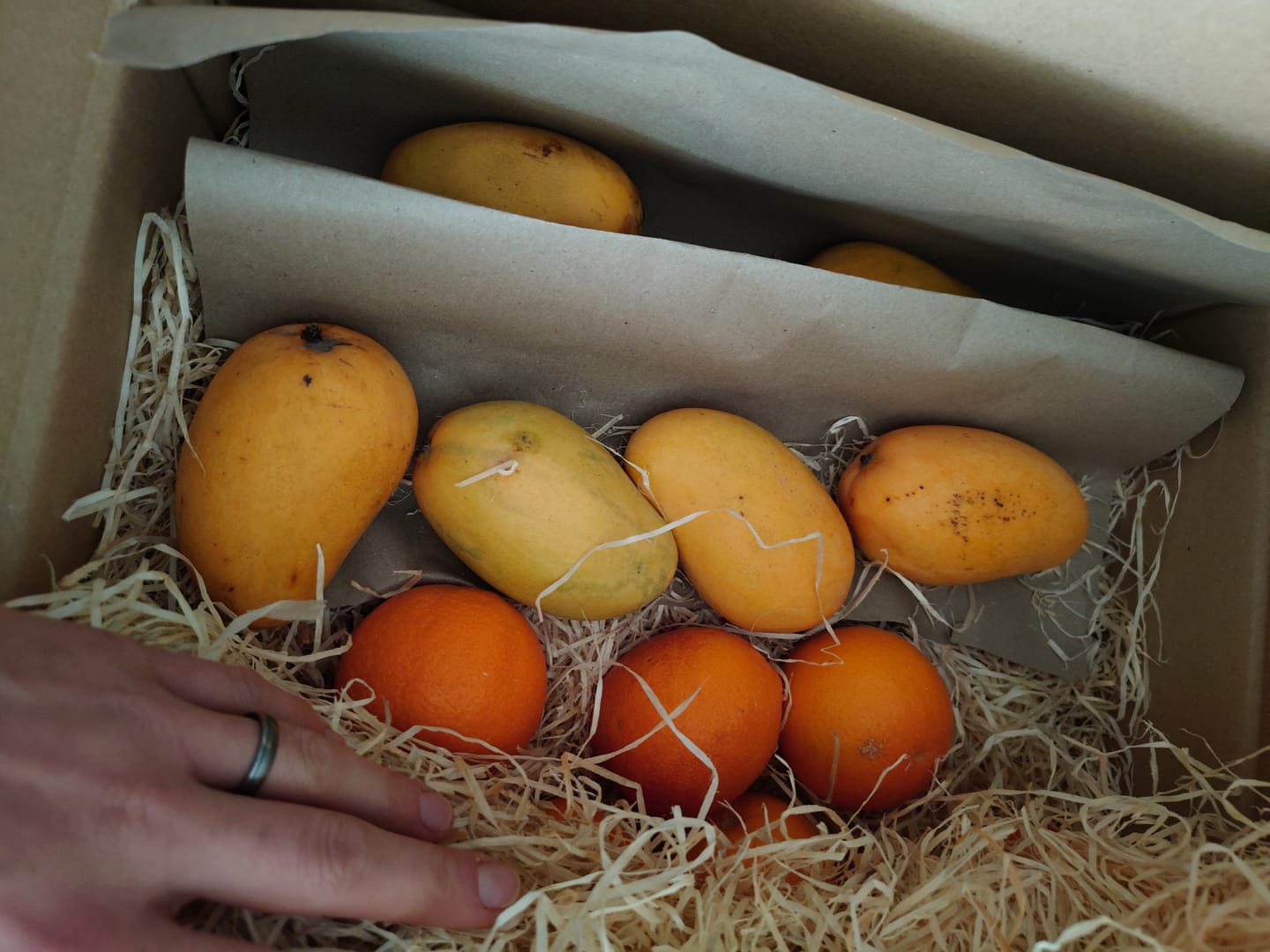 Customer photo review of Mango Honig „Ataulfo“ Bio von Joe Roman baumgereifte Flugware