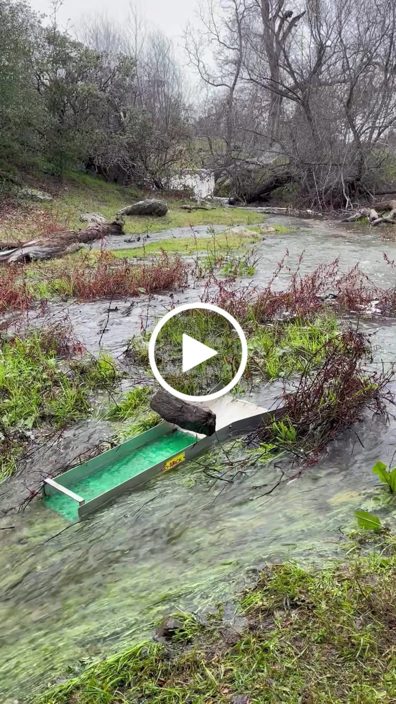 Customer video review of Clamps for Vortex Dream Mat & Dredge Mat